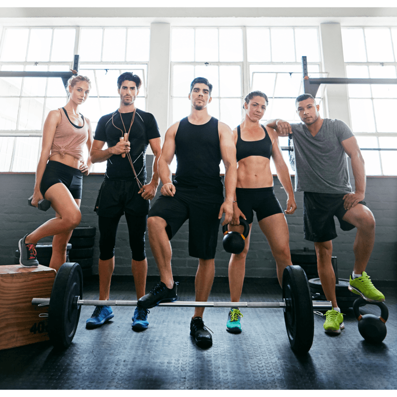 Alpha Sports Studio 31