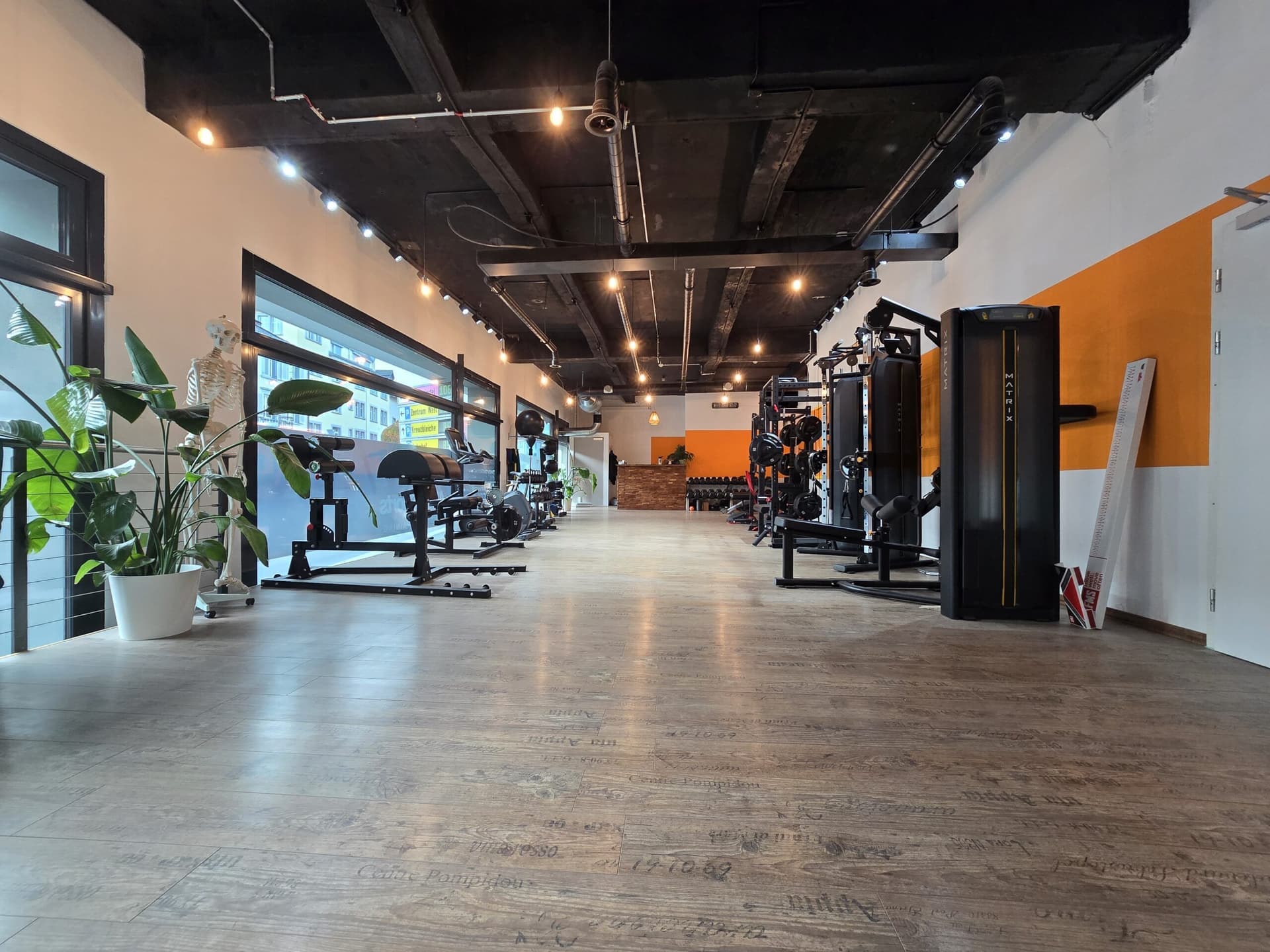 Alpha Sports Studio 6