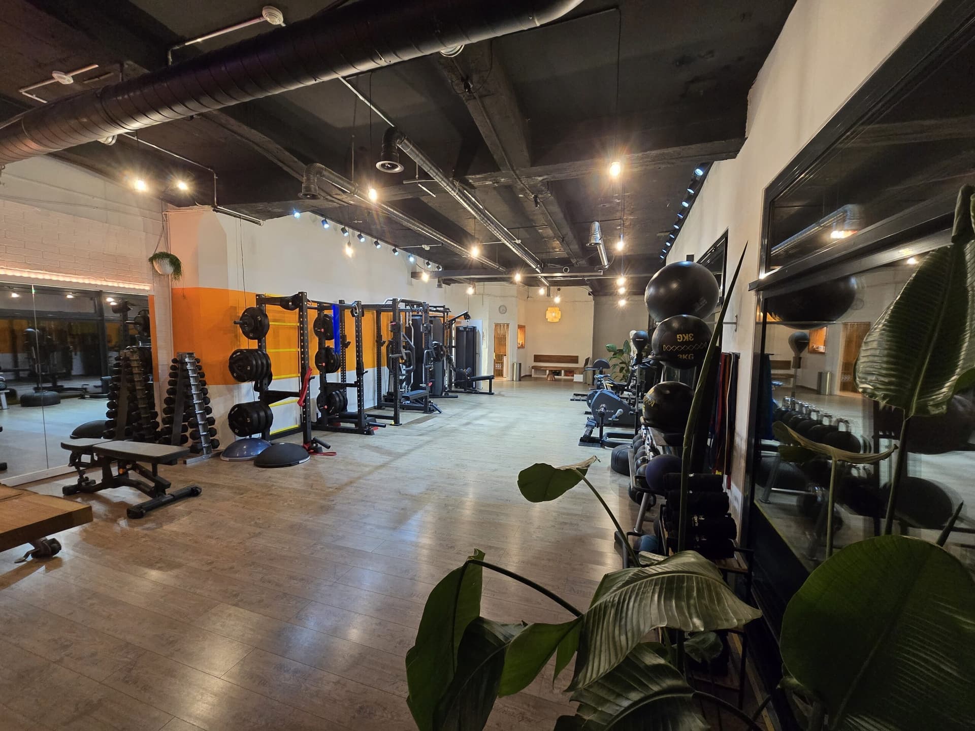 Alpha Sports Studio 8
